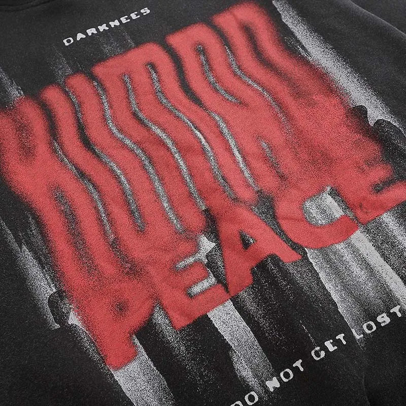 Human Peace Graphic Hoodie Black Washed